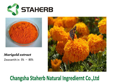 China Zeaxanthin-Ringelblumen-Blumen-Auszug fournisseur