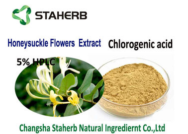 China Geißblatt-Blumen-saurer chlorogenauszug-hellgelber Pulver-Nahrungsmittelgrad fournisseur