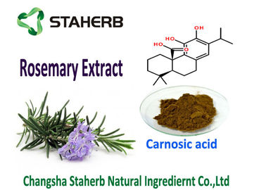 China Natürliches Öl Souble-Lebensmittel-Zusatzstoff Rosemary-Blatt-Auszug-Antioxydantien Carnosic-Säure-5-90% guter fournisseur