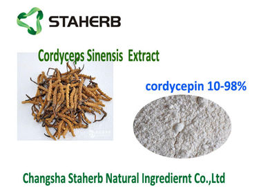 China 10- 98% Cordycepin natürliches organisches Cordyceps Auszug-Pulver CAS 73 03 0 fournisseur