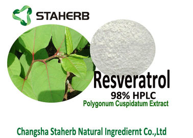 China Resveratrol 98% HPLC Polygonum Cuspidatums-Wurzel-Auszug-Pulver für Verlängerung der Lebensdauer fournisseur