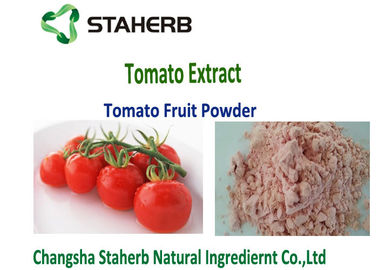 China Spraygetrocknete Tomate entwässerter Frucht-Pulver-organischer guter Wasser Souble-Nahrungsmittelgrad fournisseur