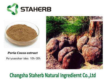 China Brown-Pulver Poria-Cocos-Auszug-Standardwerk-Material-anti- Lungenkrebs fournisseur