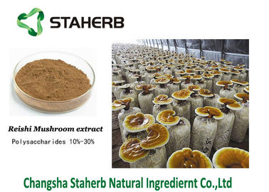 China Pilz-Auszug-Brown-Pulver-Triterpen 1%-20% Ganoderma Lucidum Reishi fournisseur