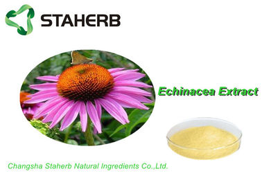 China 100% natürliche Standardwerk-Materialien, Kraut-Medizin Echinacea Purpurea-Auszug Cichoric-Säure 2% fournisseur