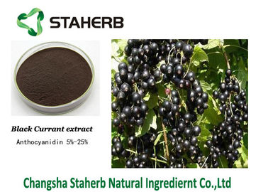 China Schwarze Johannisbeere-Frucht starkes Pflanzenauszug-Pulver-Beeren-Anthocyanin-anti- Altern fournisseur