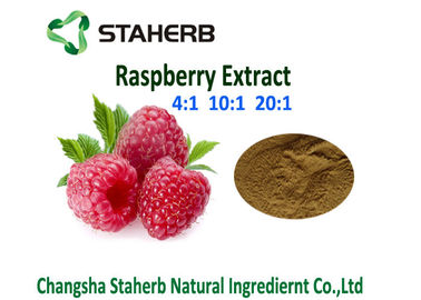 China AUSZUG-Verhältnis-Rohstoff-Himbeerauszug-Pulver-Himbeere Keton 4% Rubus Chingii Kräuter fournisseur