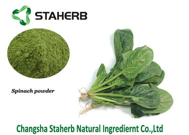 China Organisches Spinats-Blatt-Auszug-Pulver-Vitamin K enthielt Naturkost-Pigment fournisseur