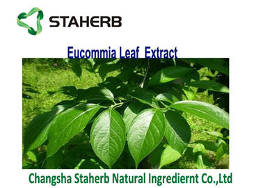 China Blatt-Auszug-Chlorogensäure 3-5% Brown-Gelb-Pulver Eucommia Ulmoides fournisseur