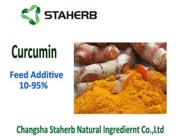 China Rohstoff-Phytogenic Zufuhr-Zusätze, Reinheit des Gelbwurz-Kurkumin-Pulver-10-95% fournisseur