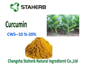 China Natürliches Zusatz-Gelbwurz-Pulver CWS - Kurkumin 10% des Kurkumin-biologischen Lebensmittels fournisseur