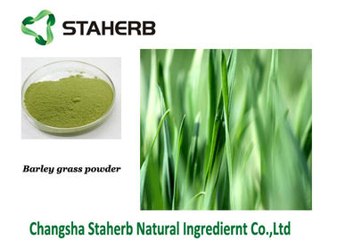 China Grüne Farbspraygetrocknete Extraktion Kraut-Gersten-Gras-Saft-Pulver Gine fournisseur
