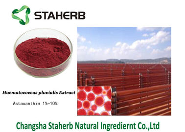 China Astaxanthin-diätetische Ergänzung Haematococcus-Pluvialis-Antioxidansauszug-dunkelrotes Pulver fournisseur