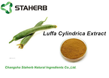 China Kraut-natürliche kosmetische Bestandteile, Kosmetik-Rohstoff-Luffaschwamm Cylindrica-Auszug10:1 fournisseur