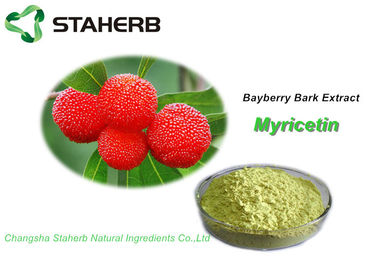 China Lorbeere-Barken-reines natürliches Pflanzenauszug-Pulver Kräuter-CAS 529 HPLC 44 2 fournisseur