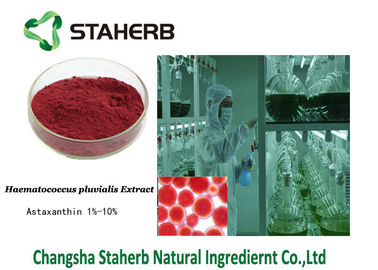 China Astaxanthin-472-61-7 starker Pflanzenauszug Haematococcus-Pluvialisauszug fournisseur