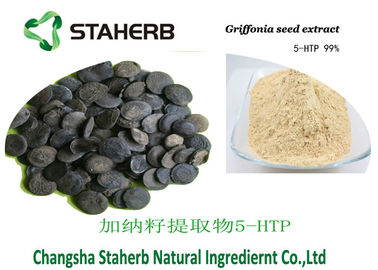 China 5-HTP Pulver 4350-09-8 konzentrierte Pflanzenauszug Griffonia-Samenauszug fournisseur