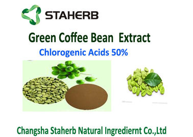 China Antibakterieller anti- Oxydationsmittel Rohkaffee-Bean-Auszug-Chlorogensäure 50% verlor Gewicht fournisseur
