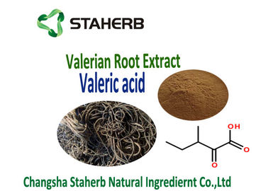 China Baldrian-Wurzel-Auszug benutzt für antibakterielles und Antivirenpflanzenauszug Valearic-adid fournisseur
