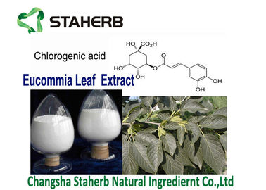China Blatt-reine natürliche Pflanzenauszüge saures chlorogenCAS Eucommia Ulmoides 327 97 9 fournisseur