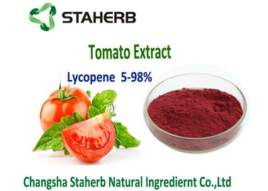 China Dunkelrotes Lykopen-wasserlösliches anti- Altern des Pulver-natürliches Tomaten-Auszug-5%-98% fournisseur