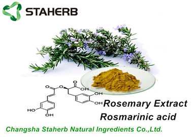 China Anti- Altern-organische Rosemary-Auszug Rosmarinic-Säure 5%, 10%, 15% durch HPLC fournisseur
