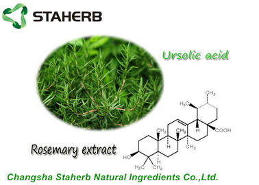 China Blatt-Auszug Ursolic Antioxdent Rosemary saures Pulver für Cusmetic-Produkt fournisseur