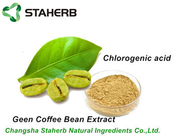 China Saurer chlorogenauszug 50% reiner natürlicher Rohkaffee-Beans durch HPLC fournisseur