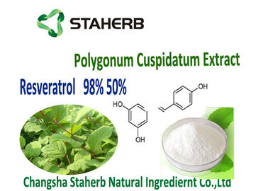 China Polygonum Cuspidatums-Wurzel-Grün-Pflanzenauszug fournisseur