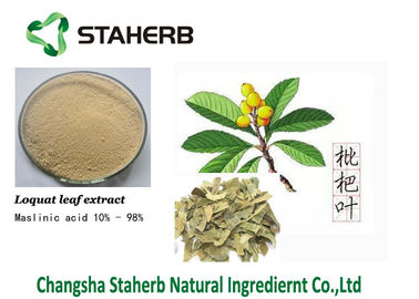 China Loquatblatt-Auszug Maslinic saurer reine natürliche Pflanzenauszüge 4373-41-5 fournisseur