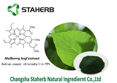 China Pflanzenauszüge Chlorophyllin antibakterielles Maulbeerblattauszugnatriumkupfer chlorophyllin fournisseur