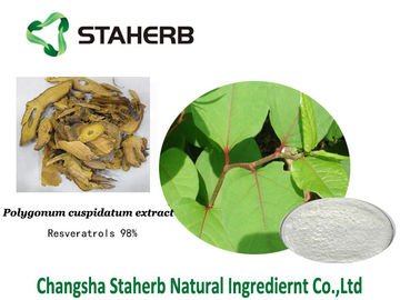 China Antioxidansauszug cuspidatum Polygonum diätetische Ergänzung des Resveratrol fournisseur