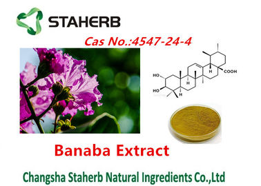 China Corsolic saures Banaba extrahiert reine natürliche Pflanzenauszüge Cas No.4547-24-4 fournisseur