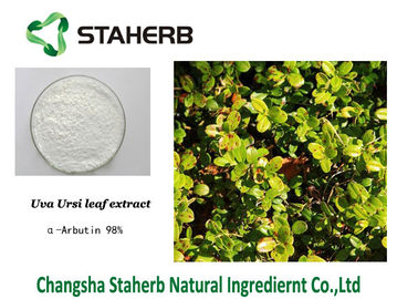 China Alpha Hautpflege-Bestandteil-Bärentrauben-Auszug Arbutin natürlicher kosmetischer fournisseur