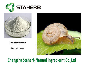 China Schnecken-Auszug-natürliches kosmetisches Rohstoff-Weiß-Pulver des Protein-60% fournisseur