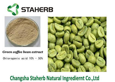 China Chlorogensäure, belasten verlierenden Rohkaffee-Bean-Auszug CAS KEIN 327-97-9 fournisseur