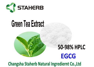 China Organischer grüner Tee-Auszug EGCG 70-98%, Antioxidanspulver Ergänzungs-Katechine fournisseur