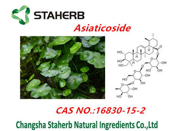 China Asiatica Auszug Centella/reines natürliches Pflanzenauszüge Asiaticosides-Pulver fournisseur