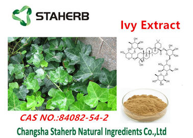 China Pulver cas no.84082-54-2 Efeuauszug antibakterielles Pflanzenauszüge Hederacoside c fournisseur