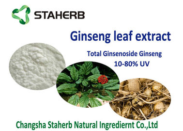 China 20% 80% ginsenoside diätetische Ergänzungs-Antioxidansmaterial, organischer Ginseng-Blatt-Auszug fournisseur
