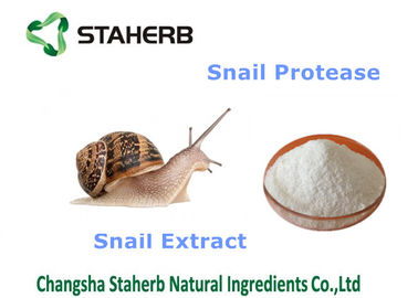 China Schnecken-Auszug-Naturkosmetik-Rohstoffe, organische kosmetische Bestandteile fournisseur