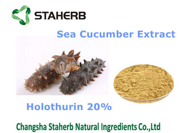 China Seegurkenauszug natürliche kosmetische Bestandteile Holothurin 20% für Kosmetik fournisseur