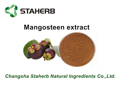 China Reine natürliche Mangostanfrucht-reines Kräuterauszüge Mangostin-Pulver für Pharma fournisseur