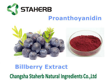 China Heidelbeerauszug-Antioxidansnahrung ergänzt dunkles purpurrotes feines Pulver fournisseur