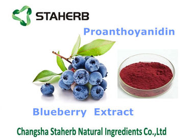 China Blaubeerauszug-diätetische Antioxidansergänzung erhöhen Immunsystem-Fähigkeit fournisseur