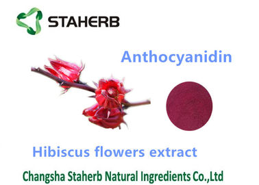 China Pulver des Hibiscus-Blumen-Auszug-natürliches kosmetisches Bestandteil-Anthocyanin-10% fournisseur