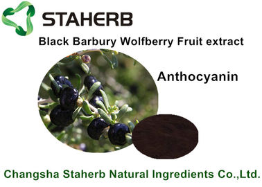 China Schwarzer Frucht-Auszug Barbary Wolfberry, Naturkost-Bestandteile für Getränk fournisseur