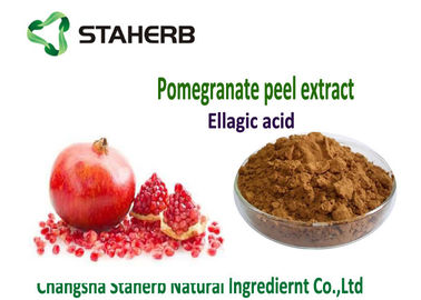China Ellagic saure diätetische Antioxidansergänzung, natürliche Antioxydant-Ergänzungen fournisseur