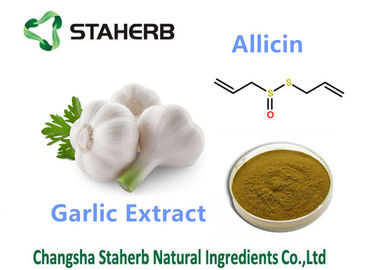 China Cas 539 86 6 antibakterielle Pflanzenauszüge Allicin, antibiotische Pflanzenauszüge fournisseur