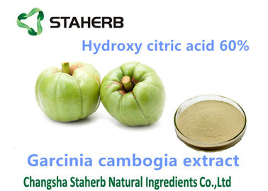 China Pulver Garcinia-Gummigutt-Auszug-Gewichtsverminderungs-Pulver Hydroxycitric-Säure-60% fournisseur